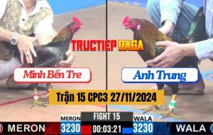 Trận 15 CPC3 27/11/2024 Gà Anh Trung Đâm Cựa Quá Tịch, 2 Đá Hạ Đối Thủ