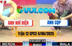 Trận 12 CPC2 4/6/2025 - Gà Anh Cọp Đâm Bướm Anh Nhí Biện Chạy La Làng