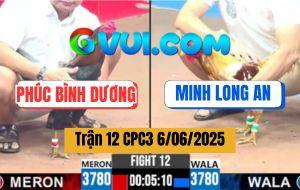 Trận 12 CPC3 6/6/2025 - Camelo Má Minh Đâm Que Cọp Chú Phúc Bung Bồ