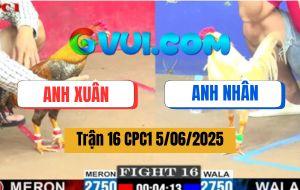 Trận 16 CPC1 5/6/2025 - 2 Con Cùng Gãy Giò, Cú Gồng Đứng Được Lụm Kem