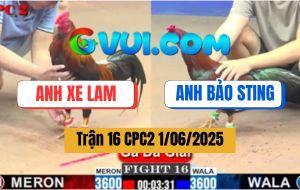 Trận 16 CPC2 1/6/2025 - Anh Xe Lam Gặp Anh Bảo Sting