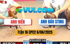 Trận 16 CPC2 6/6/2025 - Anh Bảo Sting Mang Khét Phá Hình Đi Biểu Diễn
