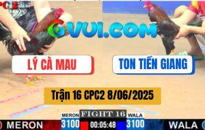 Trận 16 CPC2 8/6/2025 - Anh Lý Cà Mau Và Anh Ton Tiền Giang