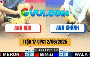 Trận 17 CPC1 2/6/2025 - Anh Rùa Bị Xử Thua Trực Tiếp Vì Bắt Gà Lỗi