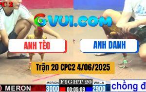 Trận 20 CPC2 4/6/2025 - Gà Mái Lại Anh Tèo Đâm Cựa Bất Chấp