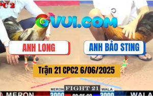 Trận 21 CPC2 6/6/2025 - Gà Xám Anh Long Hạ Đẹp Khét Cọp Anh Bảo Sting