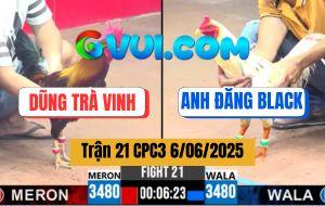 Trận 21 CPC3 6/6/2025 - Gà Bướm Anh Đăng Black Có Chân Chốt Hạ Quá Đẹp