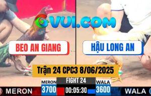 Trận 24 CPC3 8/6/2025 - Anh Beo An Giang Và Anh Hậu Long An