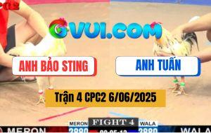 Trận 4 CPC2 6/6/2025 - Úa Anh Bảo Sting Trước Khi Tử Dẫn Bướm Đi Theo