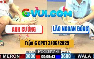 Trận 6 CPC1 3/6/2025 - Bướm Lão Ngoan Đồng Bị Đâm Chạy Thục Mạng