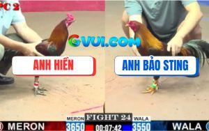 Trận 24 CPC2 20/07/2025 - Điều Cọp Bảo Sting Đá Đối Thủ Không Kịp Thở