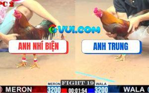 Trận 19 CPC2 6/8/2025 - Bảo Sting Thả Giùm Anh Nhí Gà Vàng Đâm Như Máy