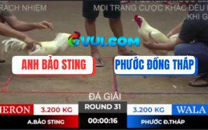 Trận 31 Bồ TonHon 10/10/2025 - Sau 2 Vòng Anh Bảo Sting Được 6 Điểm