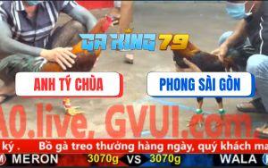 Trận 10 CPC5 23/11/2025 - Điều Cọp Anh Tý Chùa Đá Chân Nào Cũng Đâm