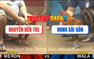 Trận 11 CPC4 19/11/2025 - Khét Bông Đá Chân 1 Hạ Xám Cọp Anh Nguyên