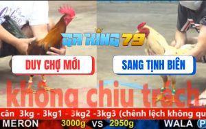 Trận 11 CPC5 27/11/2025 - Bướm Anh Sang Quá Đẳng Cấp 1 Đá Tính Tiền