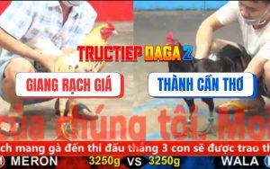 Trận 12 CPC5 15/11/2025 - Gà Bướm Anh Giang Gồng Ói Lụm Lúa Đầy Bồ