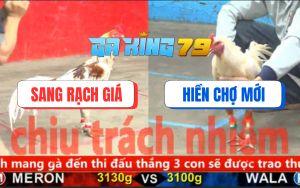 Trận 19 CPC5 23/11/2025 - Camelo Đâm Bướm Chân Trắng Rụng Như Sung