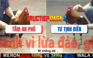 Trận 27 CPC5 16/11/2025 - Xám Điều Chồng Độ Đâm Đối Thủ Gãy Cổ