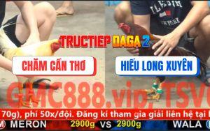 Trận 29 CPC5 15/11/2025 - Gà Úa Đá Điều Xanh Anh Hiếu Té Lên Té Xuống