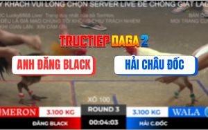 Trận 3 Bồ TonHon 2/11/2025 - Úa Đá 1 Hơi, Anh Bảo Sting Bưng Gà Ra Gấp