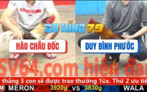 Trận 5 CPC5 25/11/2025 - Camelo Anh Hào Thất Thủ Bỏ Chạy Bay Bồ