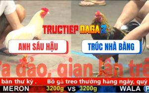 Trận 6 CPC5 19/11/2025 - Úa Cúp Độ Anh Sáu Hậu Đâm Cựa Như Máy Điện