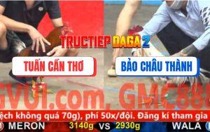 Trận 9 CPC5 16/11/2025 - Gà Bướm Anh Bảo Đâm Điều Anh Tuấn Phun Ra Lửa