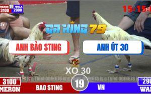 Trận 19 Bồ TonHon 3/12/2025 - Bướm Hiệu Bảo Sting Lên 2 Nhẹ Nhàng