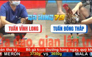 Trận 20 CPC5 6/12/2025 - Xanh Đuôi Lao Phản Ăn 1, Hàng Sáo Té Ghế