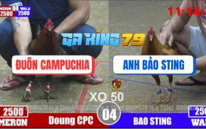 Trận 4 Bồ TonHon 3/12/2025 - Khét Cọp Bảo Sting Gục Ngã Trước Điều CPC