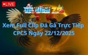 Xem Full Clip Đá Gà Trực Tiếp CPC5 Ngày 22/12/2025