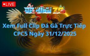 Xem Full Clip Đá Gà Trực Tiếp CPC5 Ngày 31/12/2025
