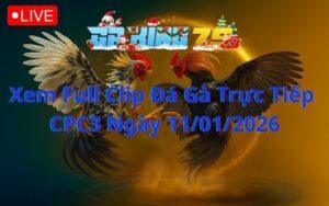 Xem Full Clip Đá Gà Trực Tiếp CPC3 Ngày 11/01/2026