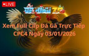 Xem Full Clip Đá Gà Trực Tiếp CPC4 Ngày 03/01/2026