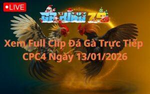 Xem Full Clip Đá Gà Trực Tiếp CPC4 Ngày 13/01/2026