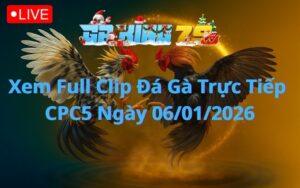 Xem Full Clip Đá Gà Trực Tiếp CPC5 Ngày 06/01/2026
